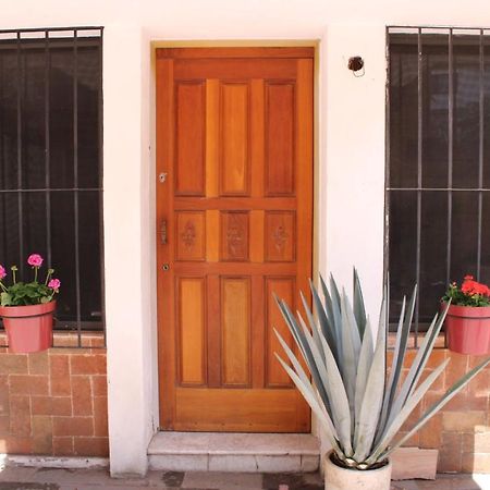 مدينة مكسيكو Casa Luna Coyoacan المظهر الخارجي الصورة