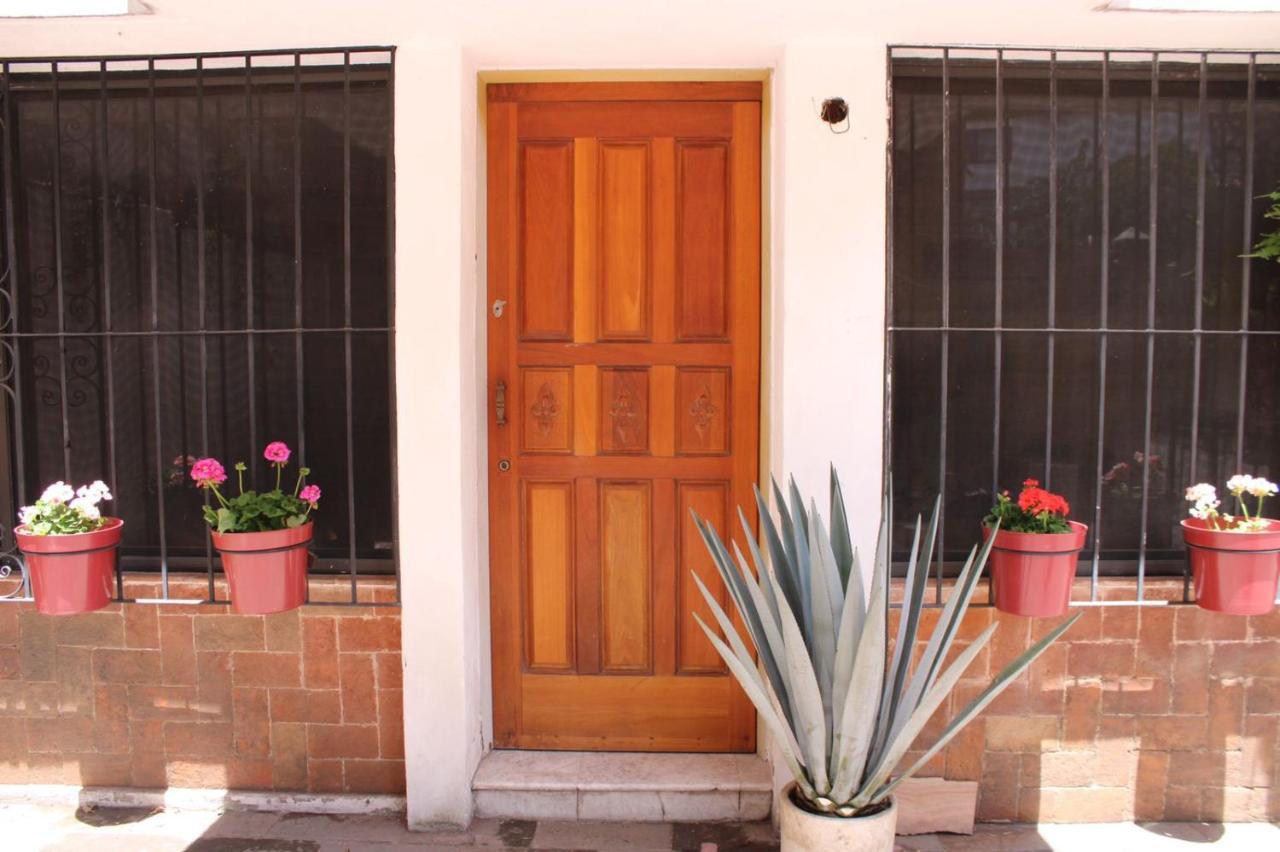 مدينة مكسيكو Casa Luna Coyoacan المظهر الخارجي الصورة